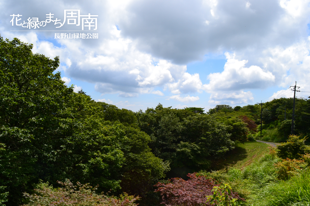 花と緑のまち周南「長野山緑地公園」