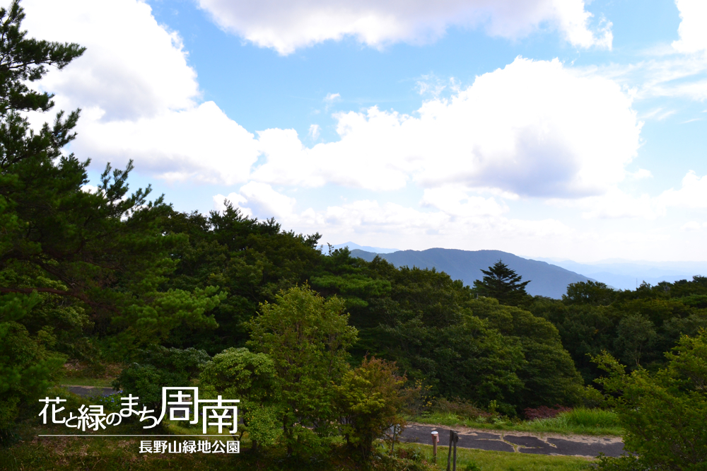 花と緑のまち周南「長野山緑地公園」遊歩道