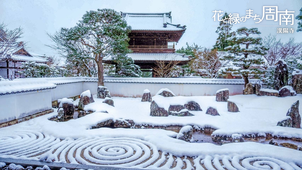 花と緑のまち周南・今週のピックアップ「鹿苑山　漢陽寺」雪の”曲水の庭”