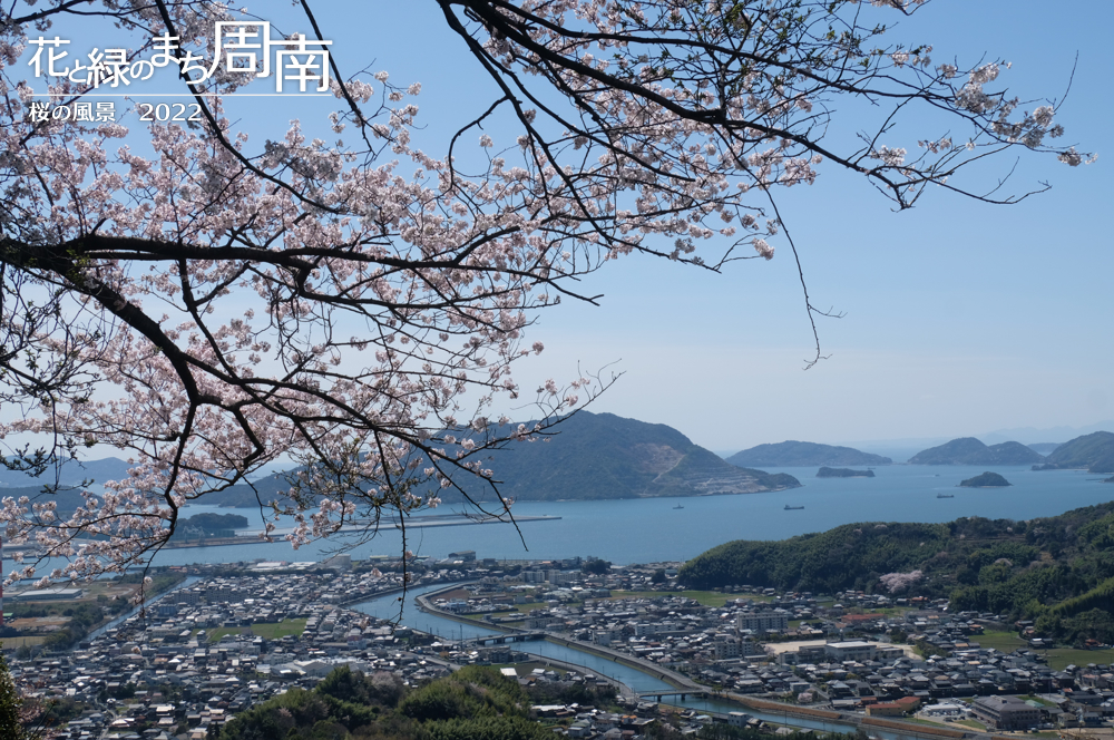 花と緑のまち周南　「桜の風景2022」若山城跡からの眺望